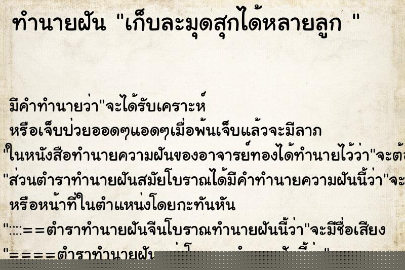 ทำนายฝันทำนายฝันเก็บละมุดสุกได้หลายลูก